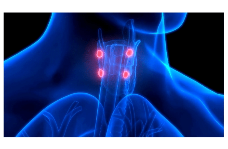 Parathyroid Disorders