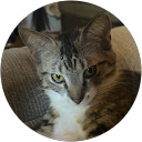 Rainy profile picture